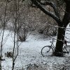 2013-04-09_winterwonderland